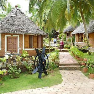 Cottage Garden View